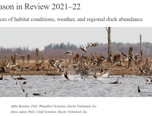 Campfire Conversations 21: Mid Winter Waterfowl Survey, ‘Duck Farming’ and 2021-2022 Season In Review with Ducks Unlimited Chief Scientist Dr. Mike Brasher