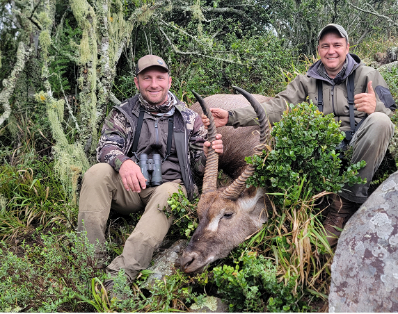 Episode 679: Tiny Rams to Big Bulls & Wingshooting In the Mountains – 2023 African Safari Recap