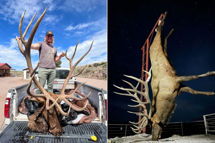 Episode 697: A Bull Elk of 1,000 Lifetimes and How ‘Proposition 1’ – The Right to Farm and Ranch Benefits Hunting & Conservation