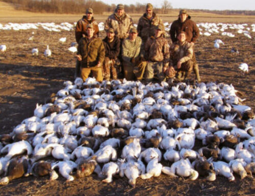 Episode 723: Texas Becomes 1st State To Cancel Snow Goose Conservation Season & Them Greenheads Don’t Act Like They Used To