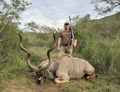 Episode 735 – Safari Recap: The Quest for Giant Bulls and A Conservation Success Story We Should Be Celebrating