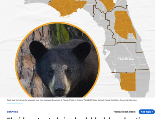 Campfire Conversations 85: Bears and Burgum – SCI Roundtable