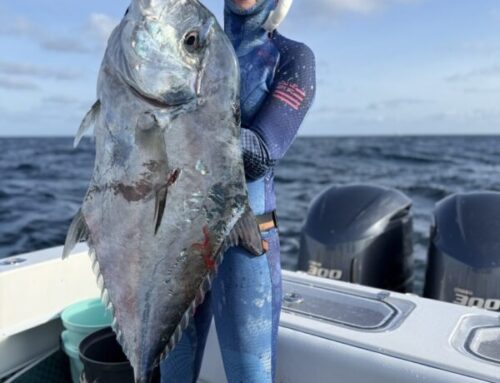 Episode 789: Hunting Below the Surface, Shark Bites, Fishing South America and Diving for Spiney Lobster