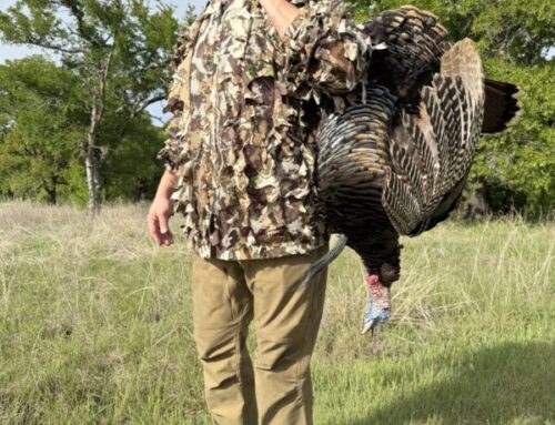 Episode 823: Talking Turkeys – Population Trends, Regulatory Changes, Reaping’s Impact & Public Land Opportunity