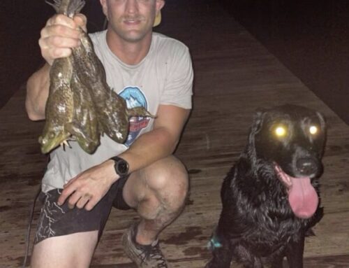 Episode 828: Frog Dogs