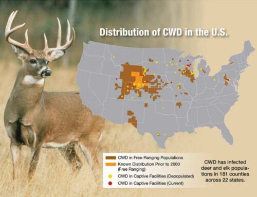 Episode 834: Exposing the Money Behind the CWD Myth
