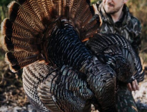 Episode 835: Traveling the Country in Search of Longbeards, Reaping/Fanning Reflections & Using Technology to Find Hunting Properties